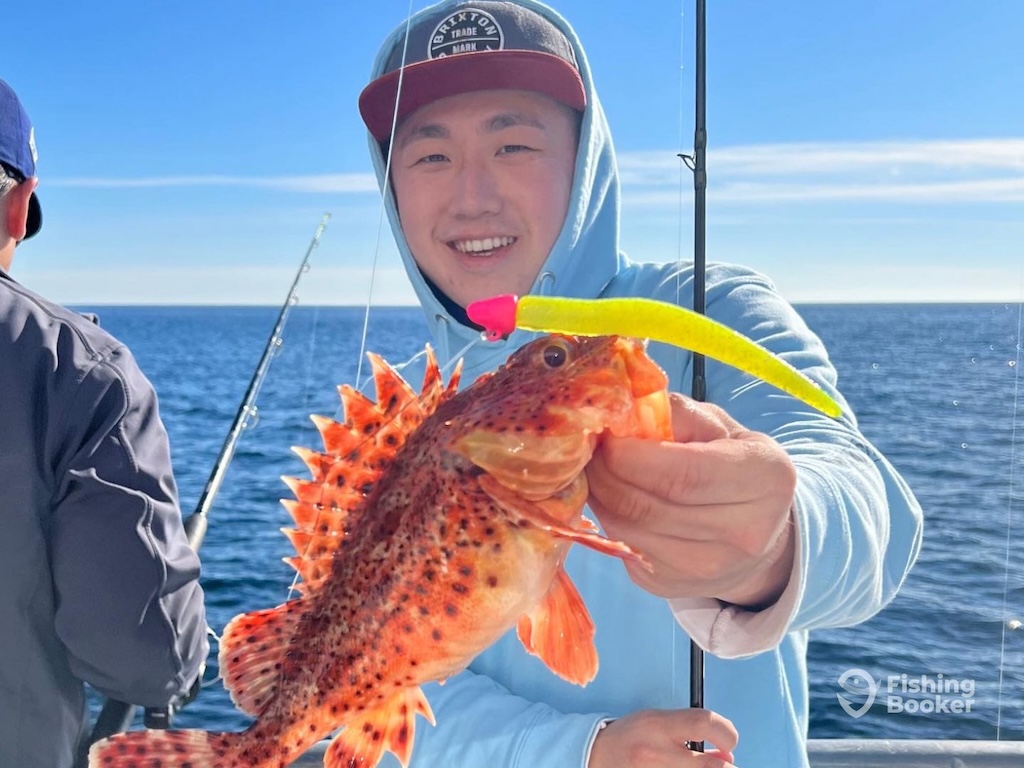 A person in a blue hoodie holding up a spiny, orange Sculpin with a yellow lure on a fishing boat, with the ocean in the background.