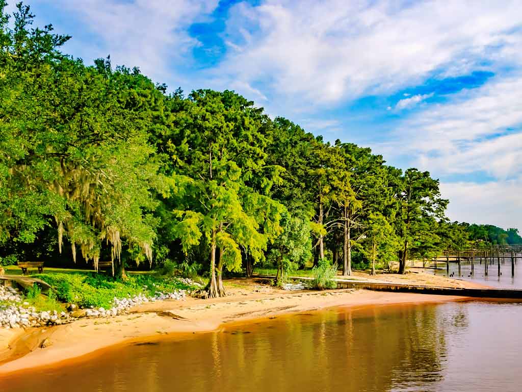 A view of the beach in May Day Park, in Daphne, Alabama, with lush trees lining the shore on the left of the photo and water and wooden piers visible on the right.