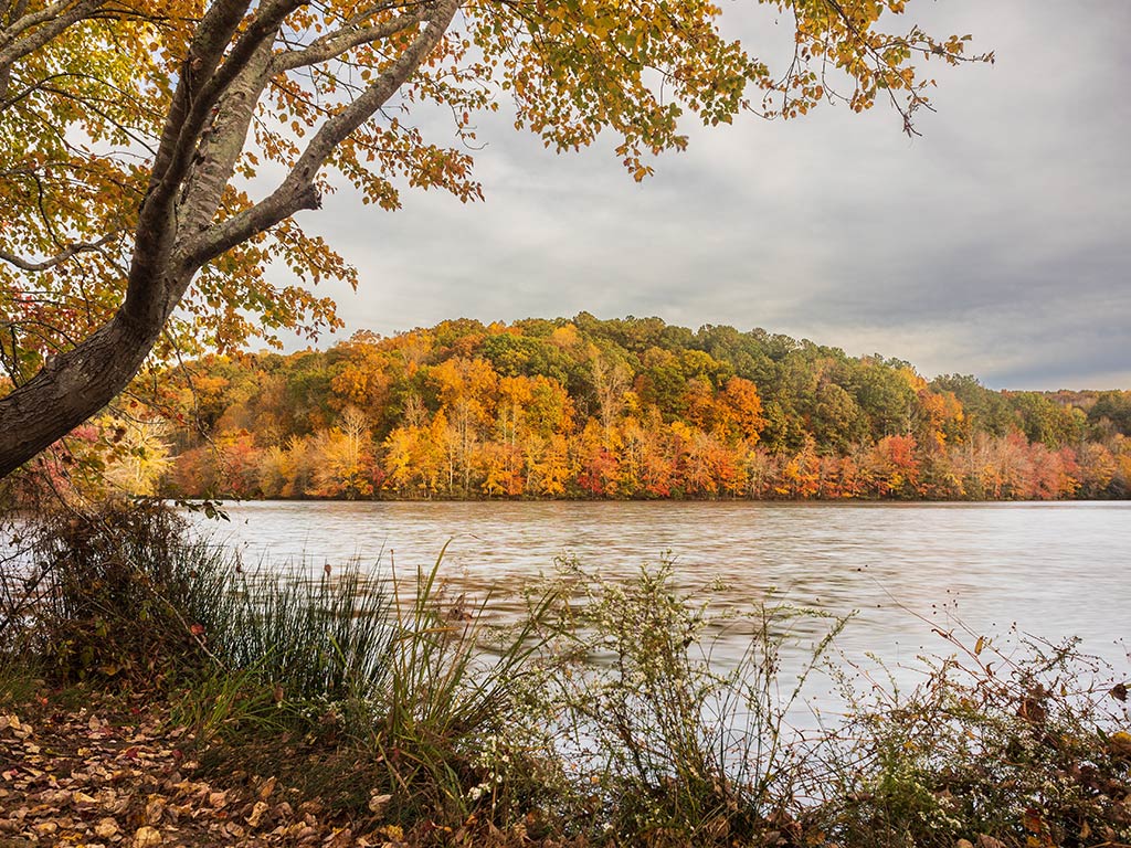 A calm lake is bordered by autumn trees with colorful foliage and a cloudy sky. Tall grasses line the shore.