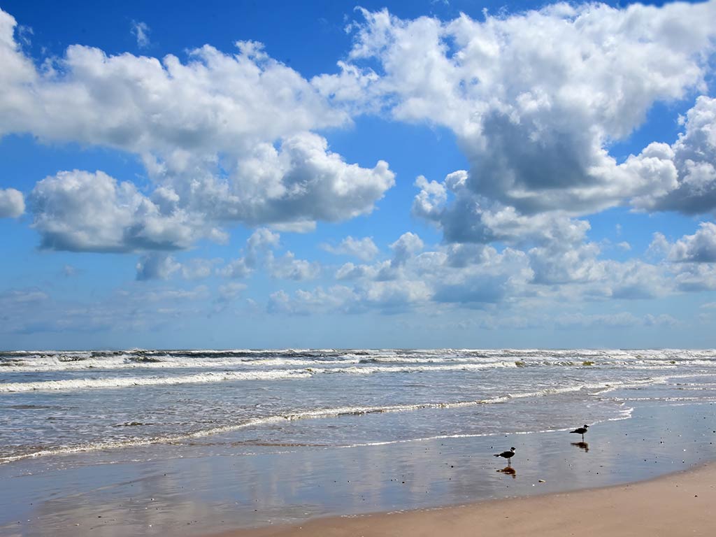 A sandy beach with gentle waves rolls under a partly cloudy sky. Three birds walk near the shoreline, hinting at the changing Freeport, Texas, fishing tides.