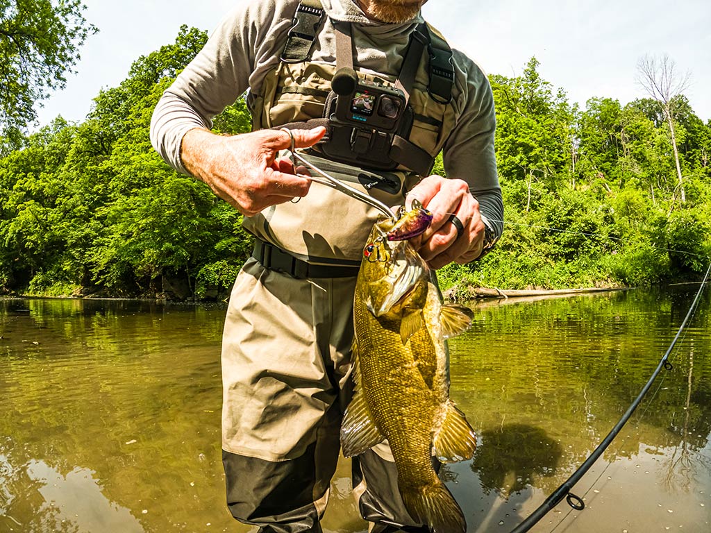 An angler, dressed in waders, stands in a shallow cree holding a caught Bass by the mouth with one hand and fishing pliers in the other. Lush green ash and willow trees fill the background, creating a vibrant scene.
