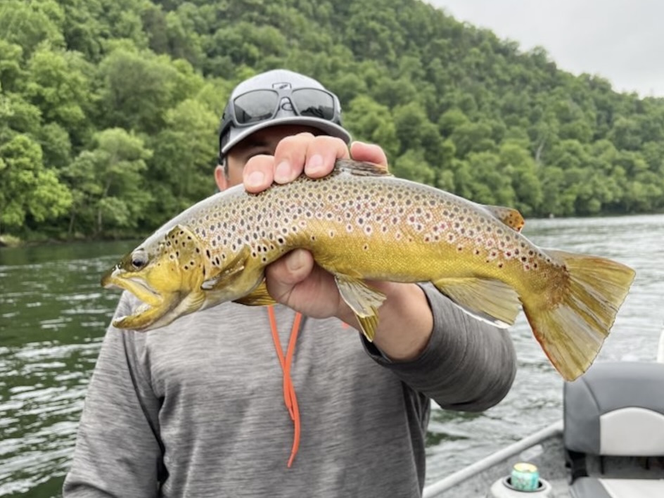 A person holding a Brown Trout in front of their face on a boat, clearly enjoying Trout fishing in Arkansas. The scenic background features a forested riverbank and shimmering water, showcasing the natural beauty of the area.
