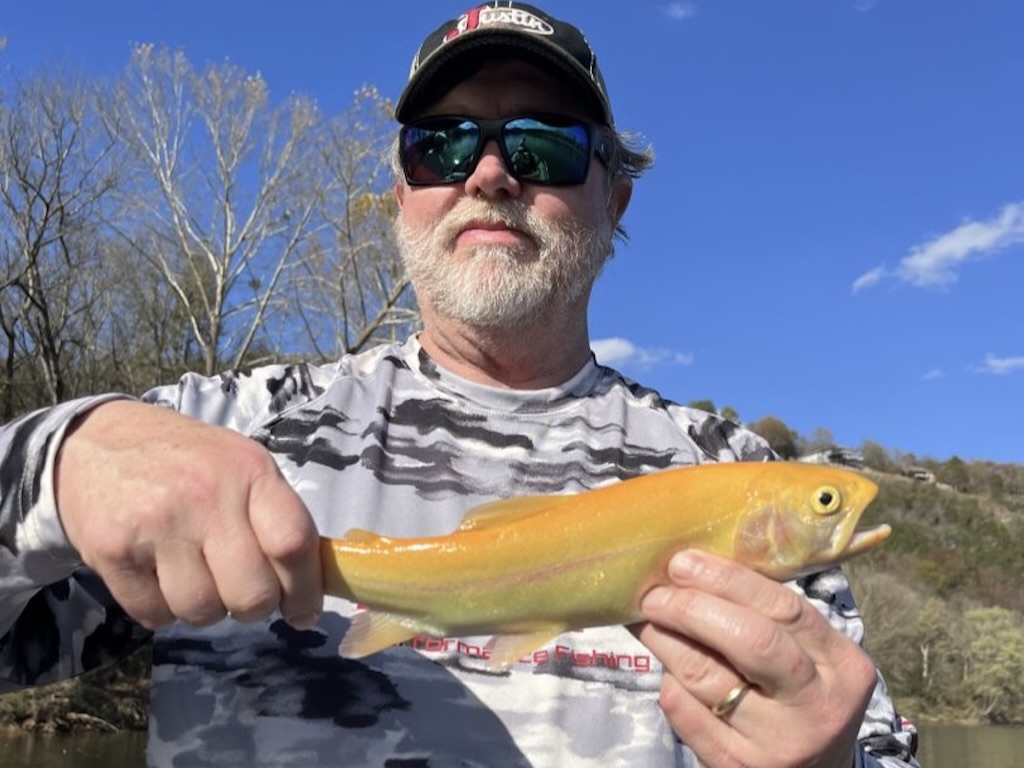 A man wearing sunglasses and a cap holds a Golden Trout with both hands outdoors under a clear blue sky.
