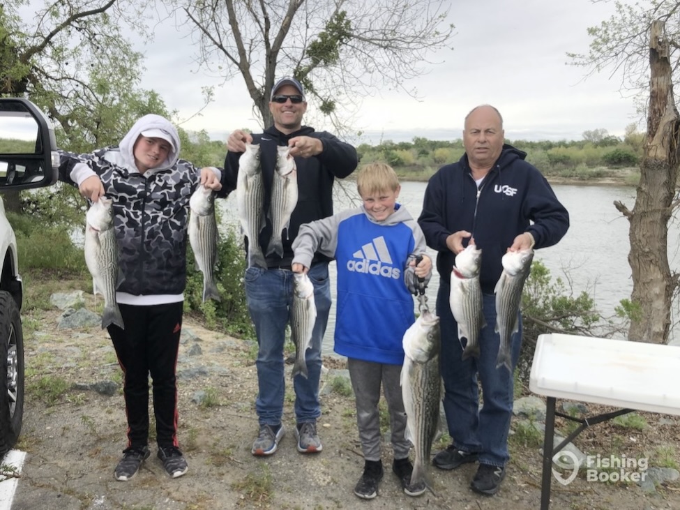 Four people stand outdoors near a riverbank on the Feather River in California, each holding several large Striped Bass, with fishing gear and a table visible nearby.