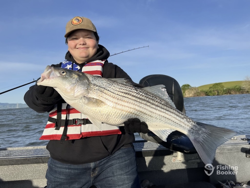 A person wearing a cap and an American flag life vest is holding a large Striped Bass on a boat, with water and land visible in the background.