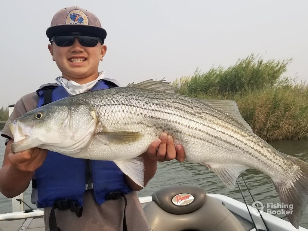 A young person wearing a hat, sunglasses, and a life vest, holding a large Striped Bass on a boat on the San Joaquin River in California, with water and tall grass visible in the background.