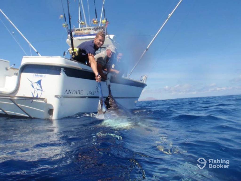 Two people on a fishing boat are holding a large Marlin partially out of the water. The open blue ocean stretches around them under a clear sky, creating the perfect backdrop for their impressive catch.