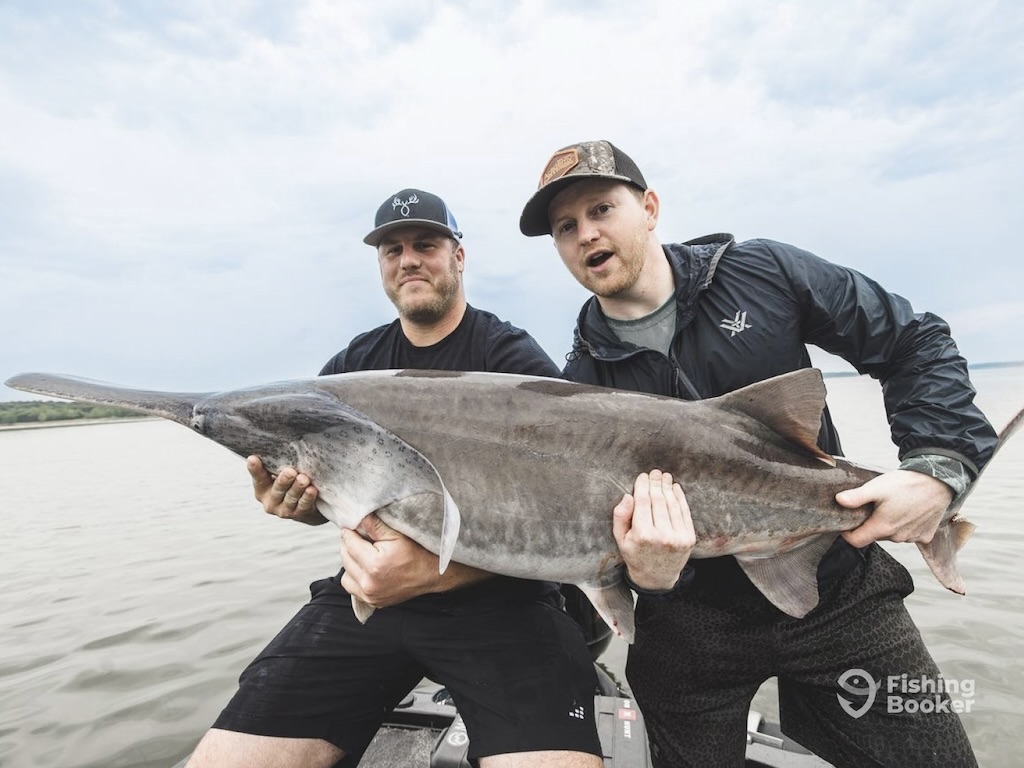 Two men fishing for Paddlefish sit in a boat, proudly holding a large Paddlefish over the water beneath cloudy skies.