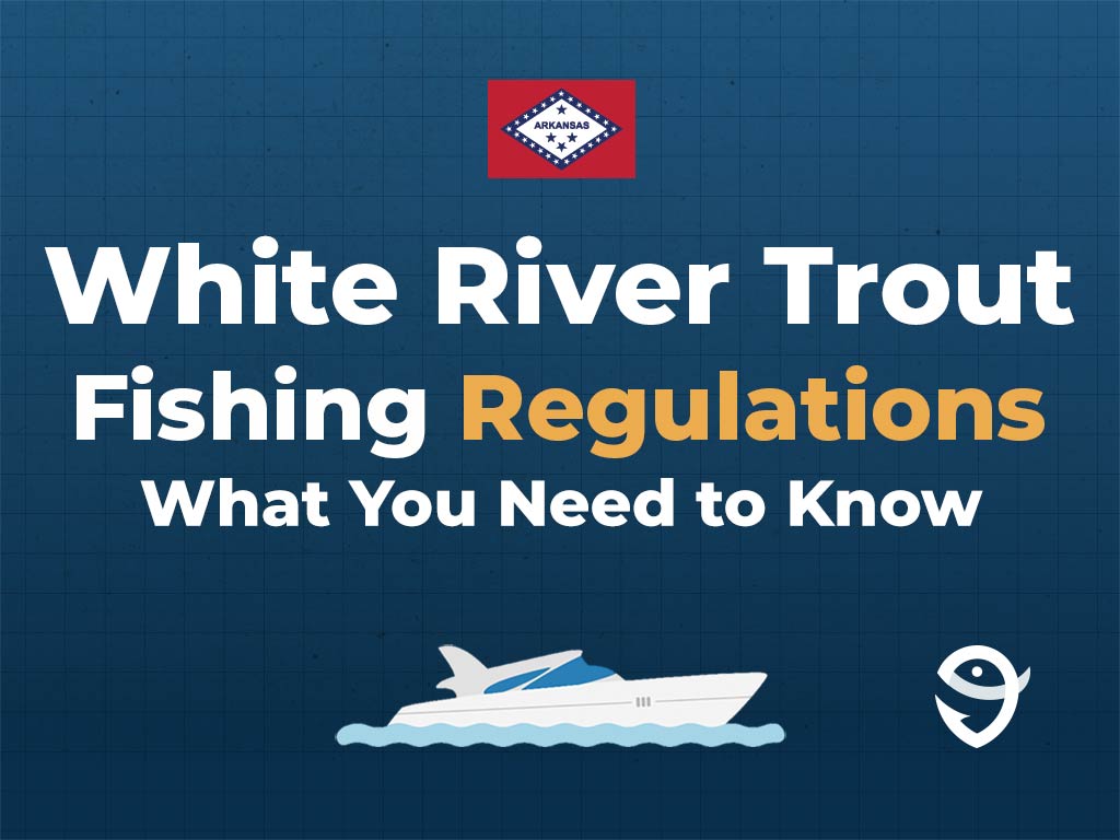 An infographic showing the Arkansas flag along with text that says "White River Trout Fishing Regulations. What You Need to Know" against a dark blue background, featuring a vector of a fish and the FishingBooker logo.