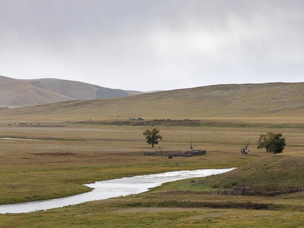 A gently curving river in Mongolia, ideal for Taimen fishing, flows through a wide grassy plain with scattered trees and distant hills under a cloudy sky.
