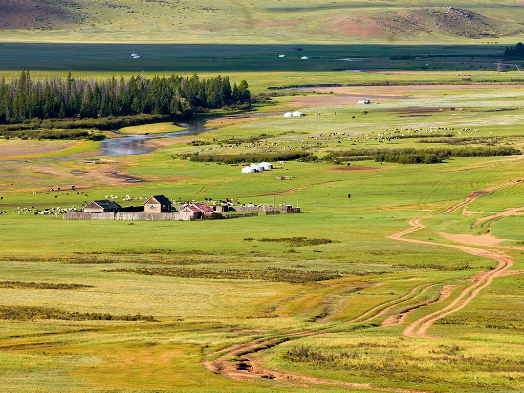 A wide view shows a rural landscape with green fields stretching toward the horizon. Dirt roads wind through the scene, connecting scattered buildings including yurts in the distance. Grazing livestock&mdash;such as cattle and sheep&mdash;dot the open pastures, while a patch of trees lines one edge of the fields. 