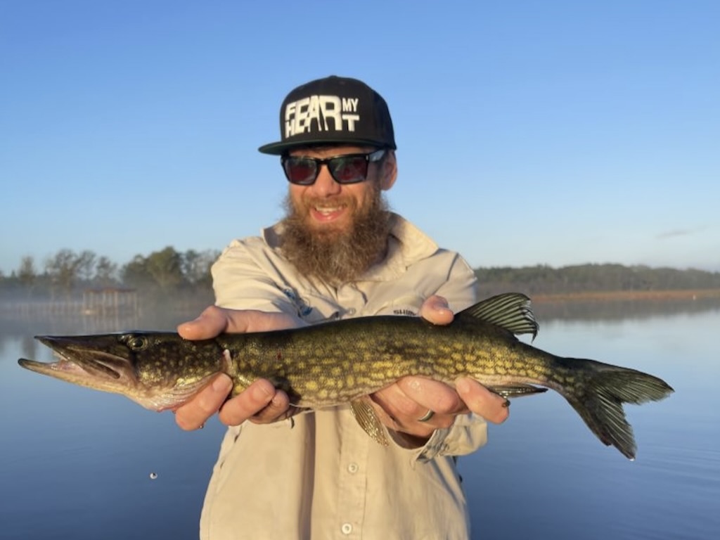 A man in a baseball cap and sunglasses holds a Chain Pickerel to the camera on a clear day on a calm lake.