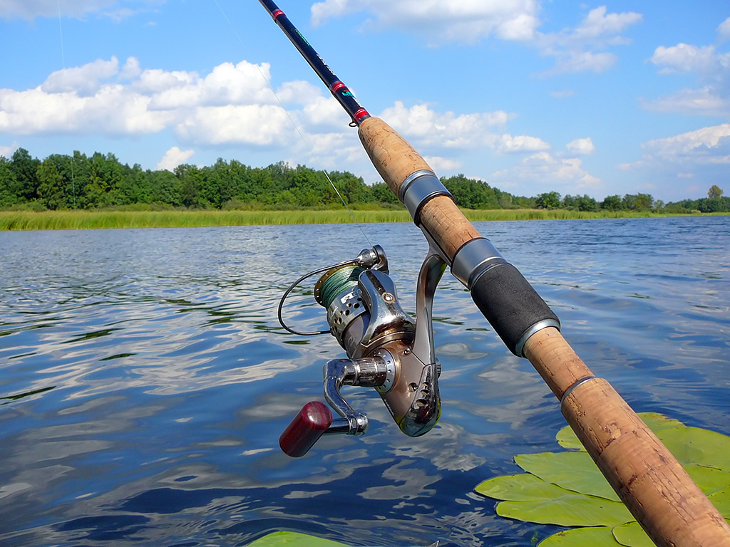 A closeup of a reel on a rod overhanging a calm lake featuring lilypads on a clear day.