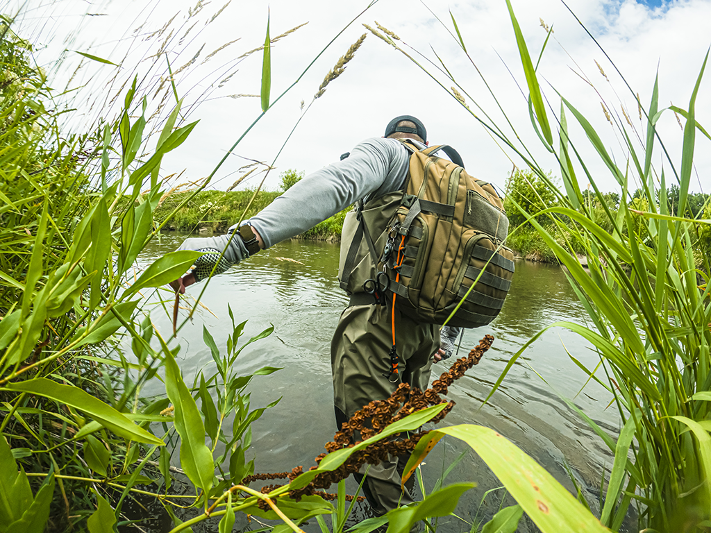 A view from behind of a man brushing through long grass to reach a river or lake where he can go wade fishing for Bass.