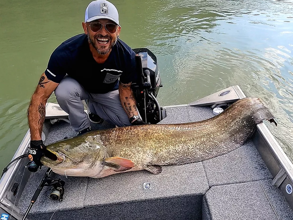 A man crouches on a dock behind a large Wels Catfish caught in a murky river.