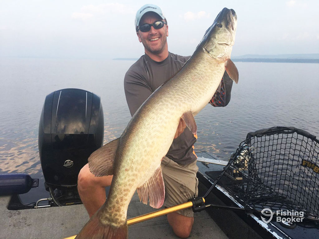 A man in a baseball cap and sunglasses crouches on a boat and holds a large Musky against a background of cloudy skies and murky waters.