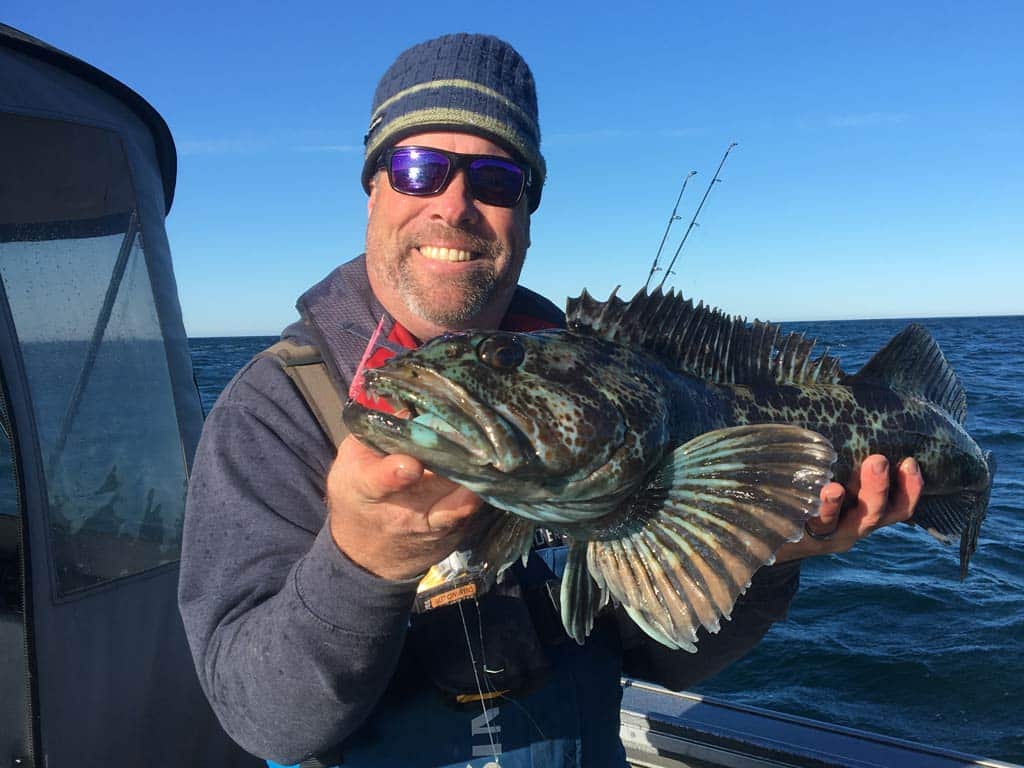 A man in a hat and sunglasses hodling up a green-blue Lingcod to the camera on a clear winter's day.