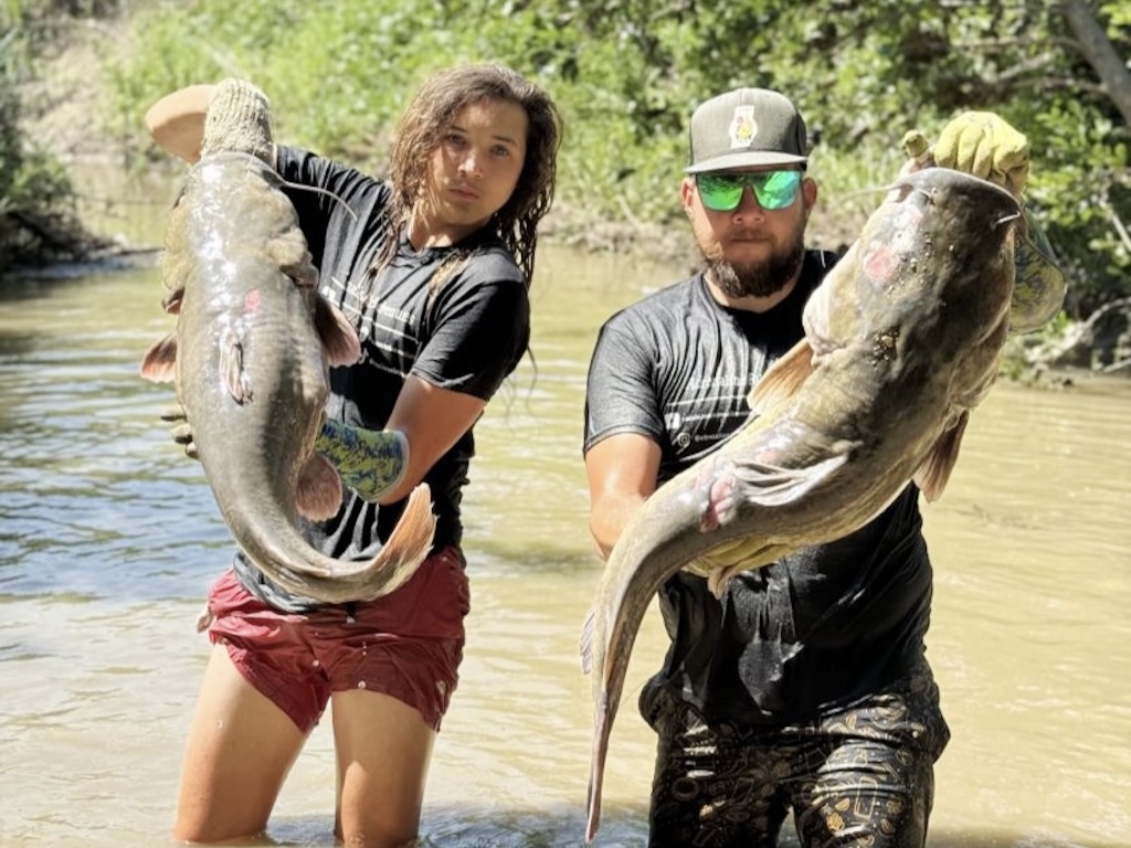 Two people are standing in shallow water, each holding a large Catfish having caught them by noodling. Trees and greenery can be seen in the background next to muddy waters.