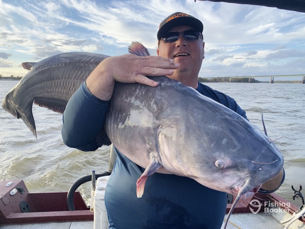 A man wearing sunglasses and a cap is holding a large Catfish over his shoulder on a boat, with water and a distant shoreline visible in the background.