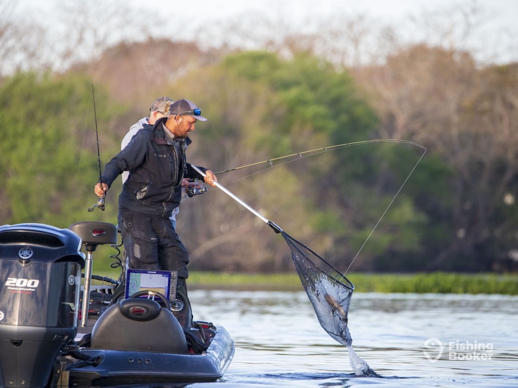 Two people are fishing on a boat. One's using a net to lift a fish from the water, while the other is holding a fishing rod.