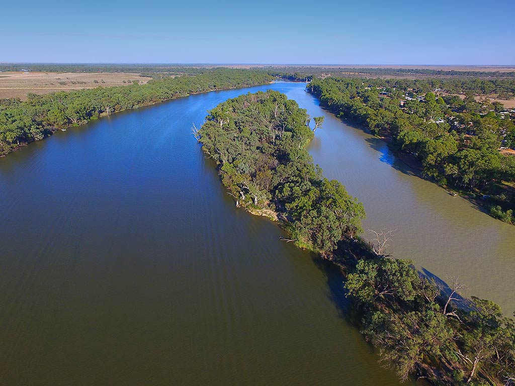 An aerial view reveals a wide river, perfect in Australia on a clear day. A tree-covered island sits at the center, its lush greenery contrasting with the shimmering water. The river winds through forested banks and an open landscape.