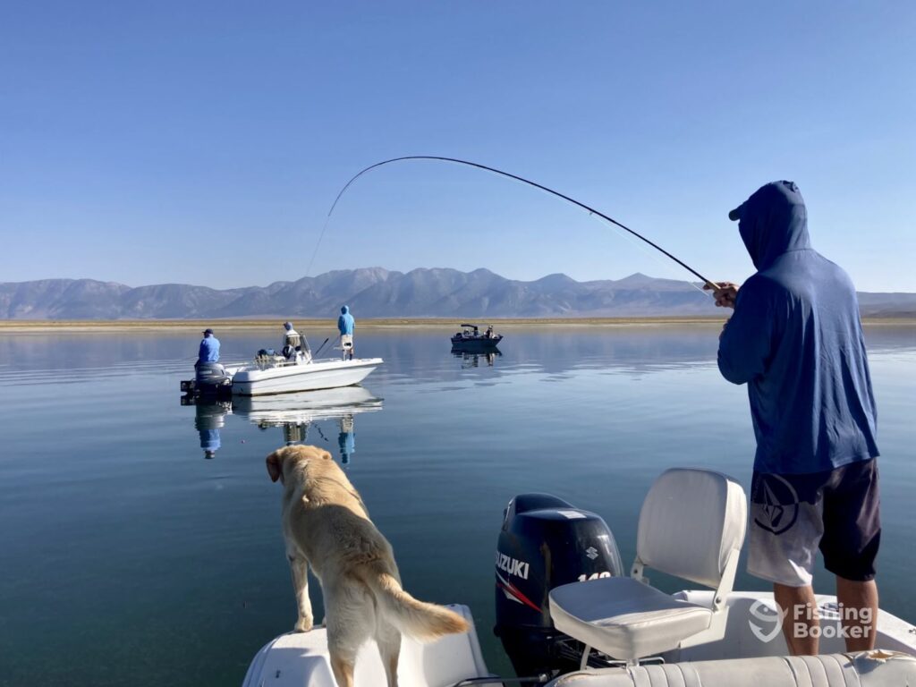 A view from behind of a man fishing from a boat on a calm body of water in Mammoth Lakes, CA with mountains in the background. A dog stands on the edge of the boat, looking towards another boat in the distance.