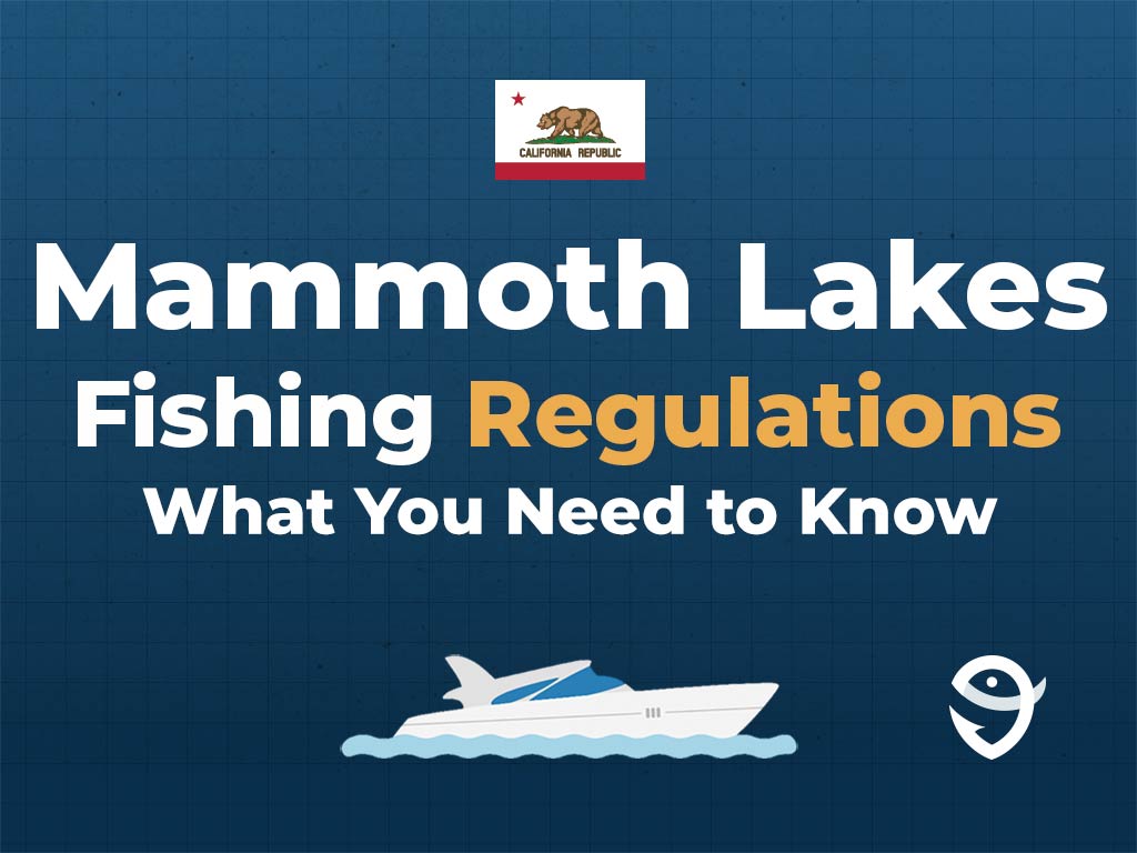 An infographic showing the California state flag along with text that says "Mammoth Lakes Fishing Regulations. What You Need to Know" against a dark blue background, featuring a vector of a fish and the FishingBooker logo.