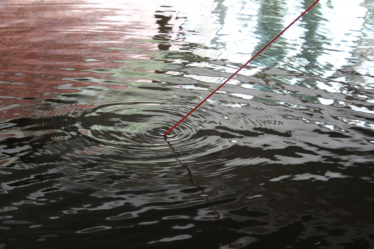 Ein rotes Seil, das ins Wasser f&uuml;hrt.