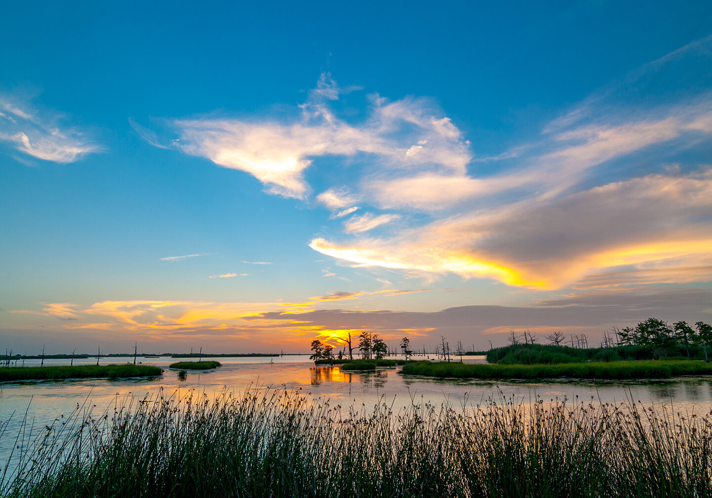 Ein Blick auf die Feuchtgebiete von Louisiana bei Sonnenuntergang, mit Gras im Vordergrund, Wasser in der Mitte und dem Himmel in der Ferne.