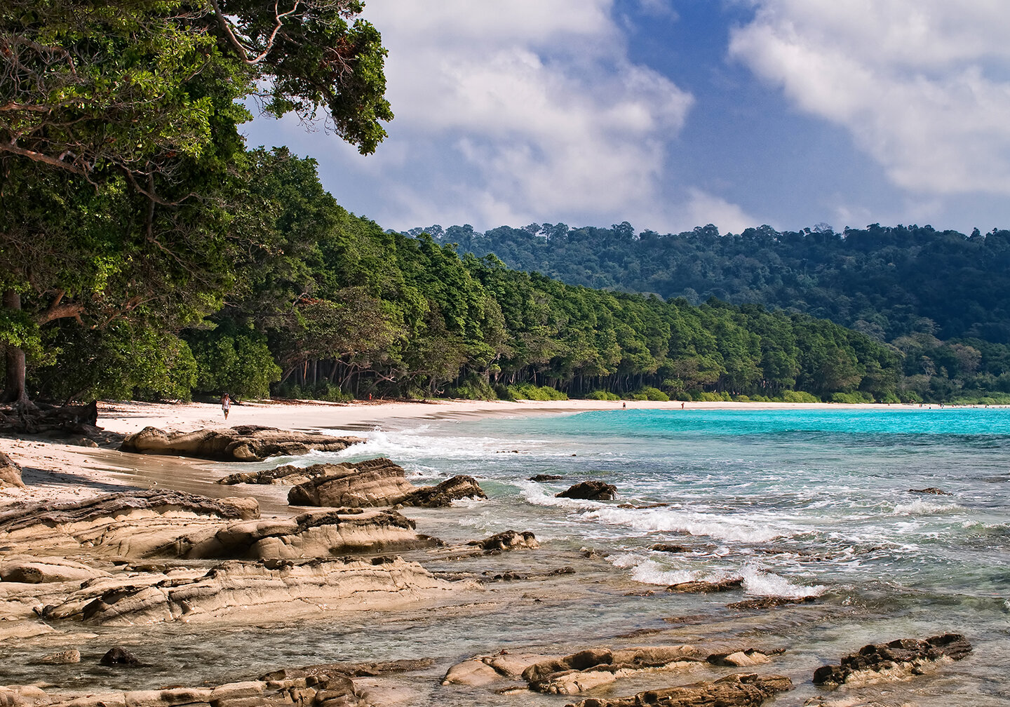 Ein Strand auf den Andamanen mit dichtem Dschungel und t&uuml;rkisfarbenem Meer.