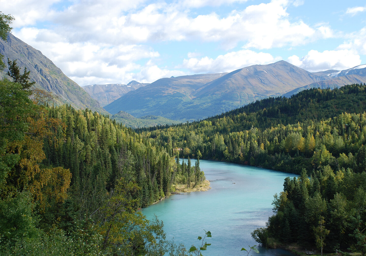 Der Kenai River in Alaska mit dichtem Wald auf beiden Seiten und Bergen in der Ferne.