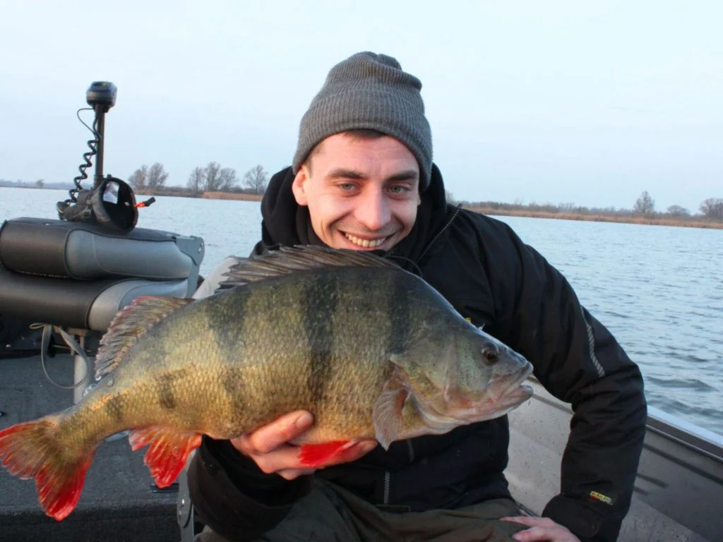 Ein gl&uuml;cklicher Angler, der auf einem Boot einen Flussbarsch h&auml;lt.