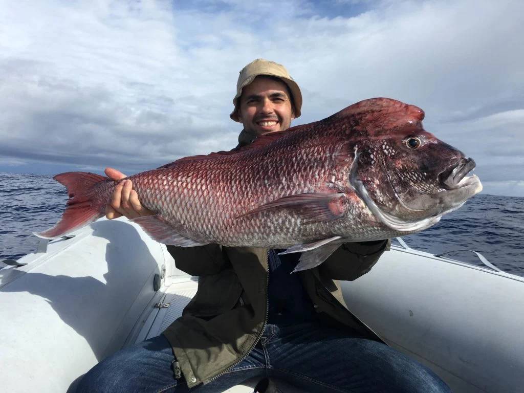 Ein Angler mit Hut, der auf einem Boot sitzt und eine Zahnbrasse h&auml;lt.