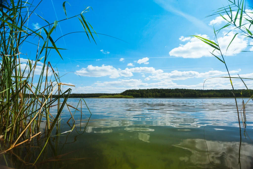 Ein See in Brandenburg.