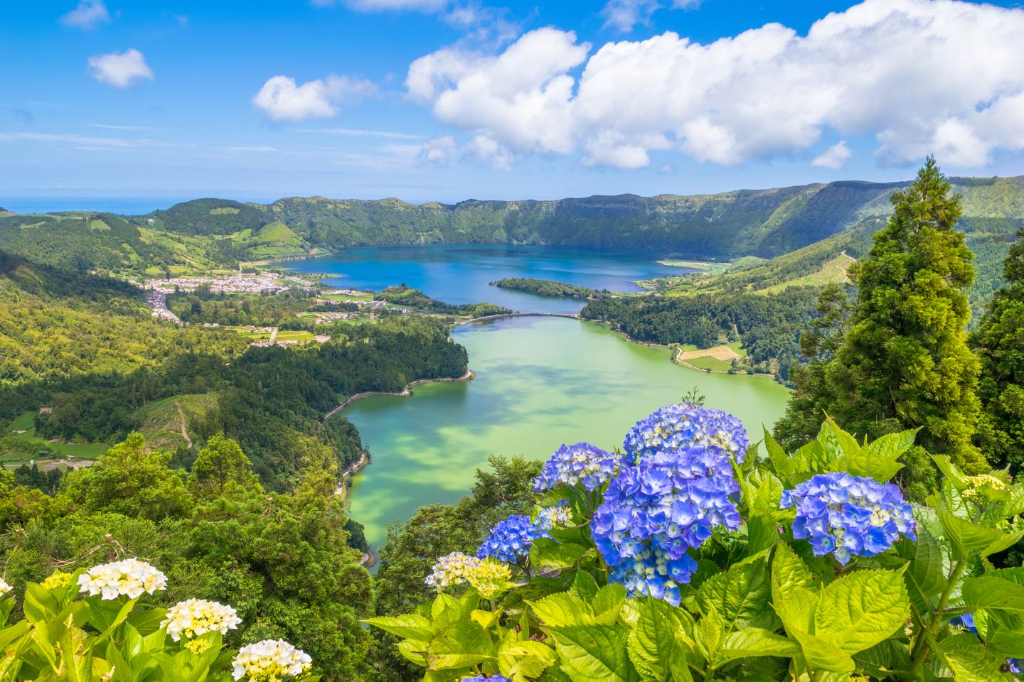See der sieben St&auml;dte auf der Insel Sao Miguel auf den Azoren mit blauen Blumen im Vordergrund.