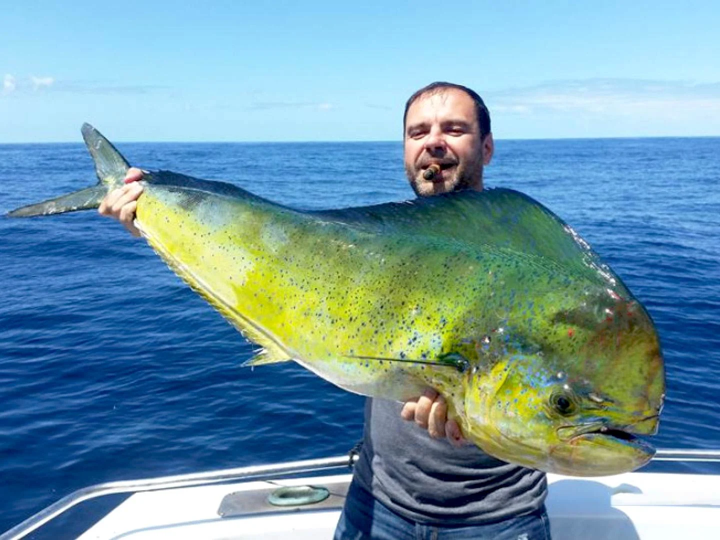 Ein Mann, der auf einem Boot einen Mahi Mahi h&auml;lt.
