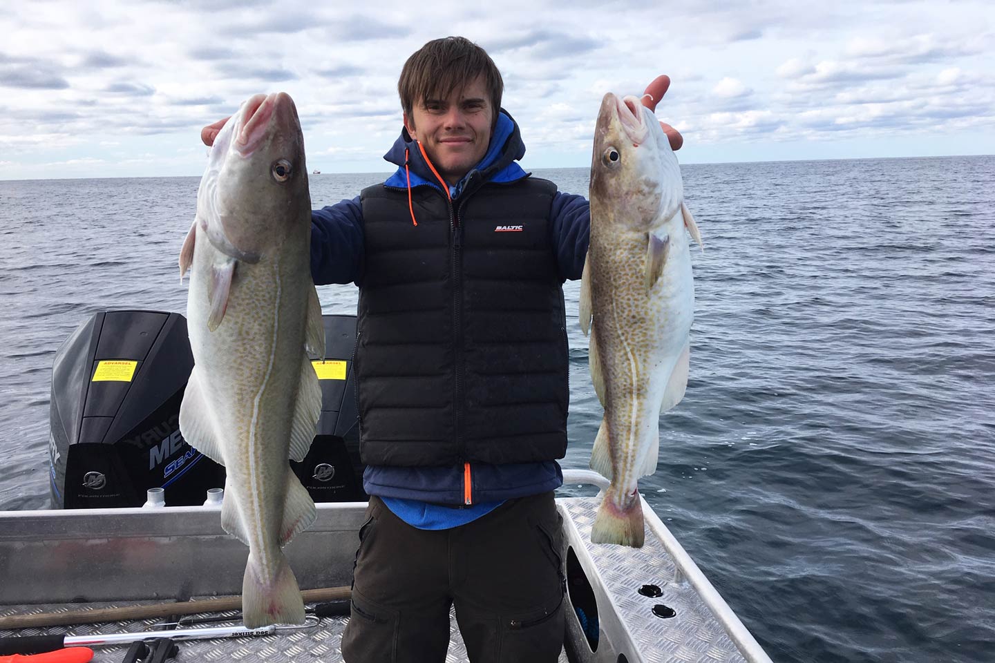 Ein m&auml;nnlicher Angler, der zwei gro&szlig;e Kabeljau in Nordj&uuml;tland h&auml;lt.