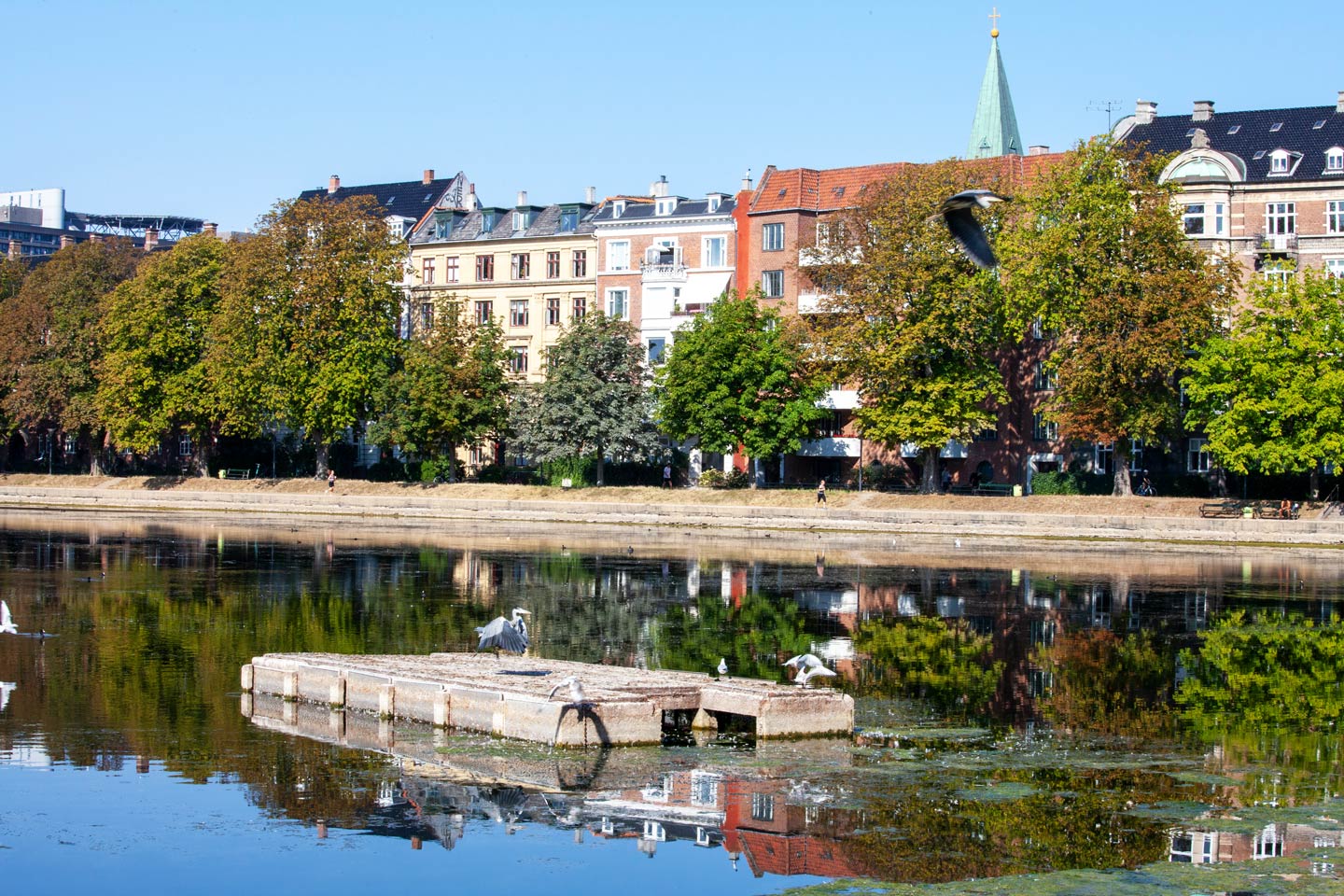 Einer der drei ber&uuml;hmten Seen am westlichen Rand des Zentrums von Kopenhagen.