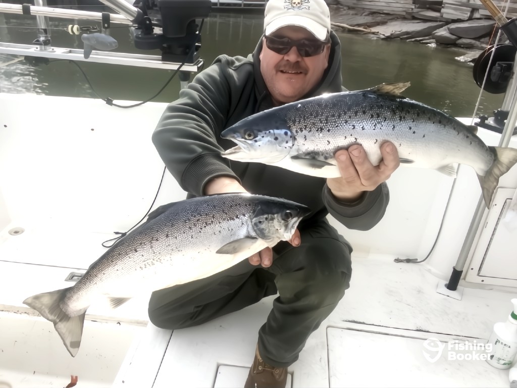 A man on a boat holds up two large Salmon, proudly displaying his catch while crouching on a boat.