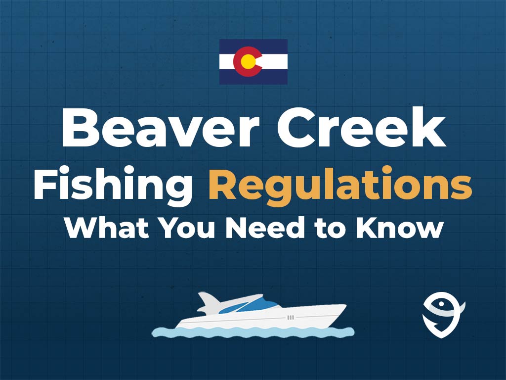 An infographic showing the Colorado flag along with text that says "Beaver Creek Fishing Regulations. What You Need to Know" against a dark blue background, featuring a vector of a fish and the FishingBooker logo.