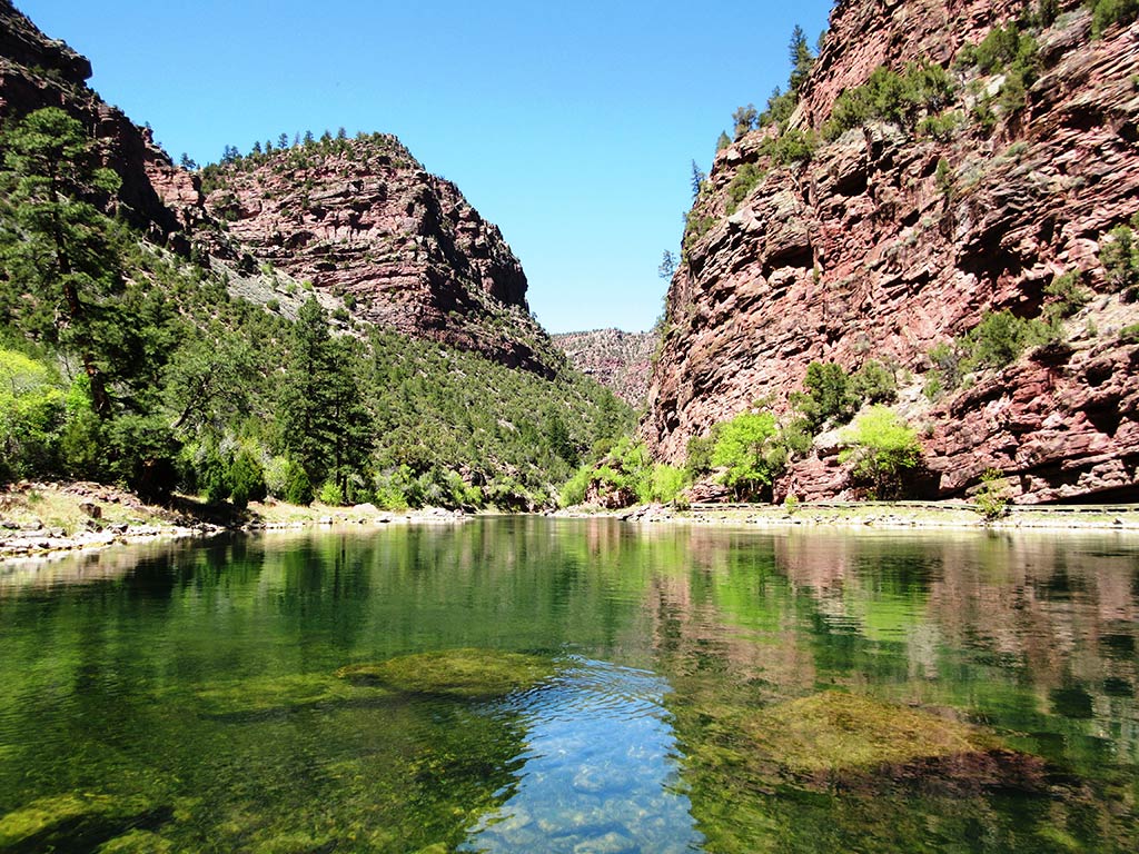 The Green River flows between steep, rocky canyon walls covered with green trees under a bright blue sky.