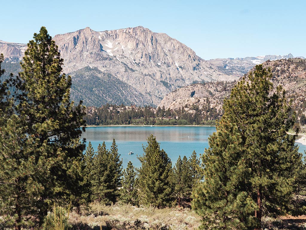 A clear lake in Mammoth Lakes, CA, surrounded by pine trees and set against a backdrop of rocky mountains under a blue sky.