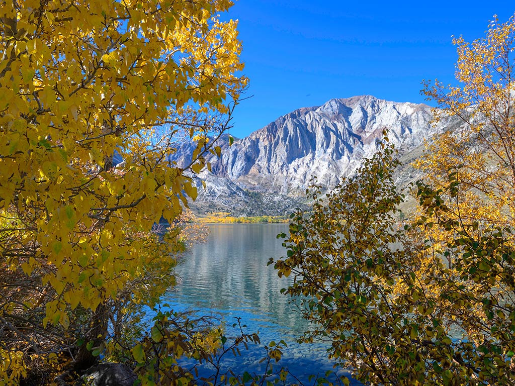 A clear lake with reflections stretches out, surrounded by autumn trees bursting with yellow leaves.