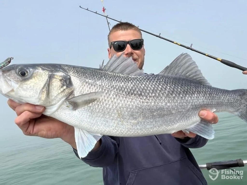 A man in sunglasses holding a large fish in both hands, standing on a boat with a fishing rod behind them.