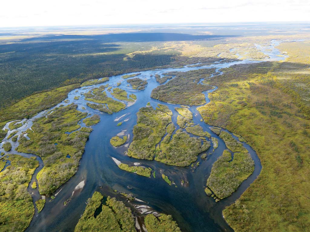 An aerial view shows a wide river with several channels and green islands winding through a huge, forested landscape in Bristol Bay, Alaska.