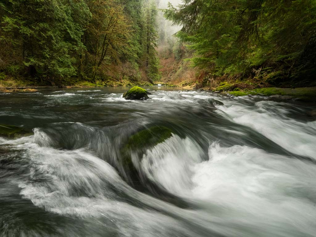 A view of Drift Creek Falls in Oregon, which is a part the Siletz River Watershed and an important stronghold for Salmon.