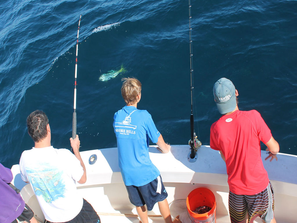 A view from a flybridge down towards three people fishing on a boat in the ocean. One fish is visible near the surface of the water.