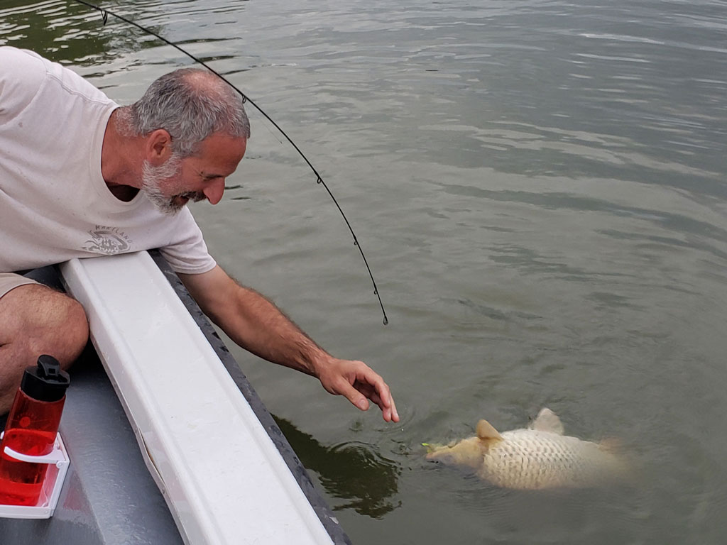 A man in a boat reaching toward a large Carp in the water, with a bent fishing rod visible behind him. It seems as though he's been chumming to get the fish's attention.