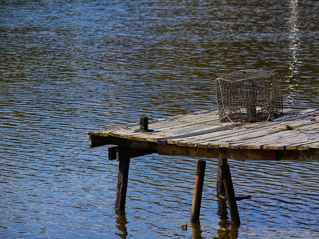 A small wire Crab trap sits on an old wooden dock that’s extending over calm water in the Chesapeake Bay