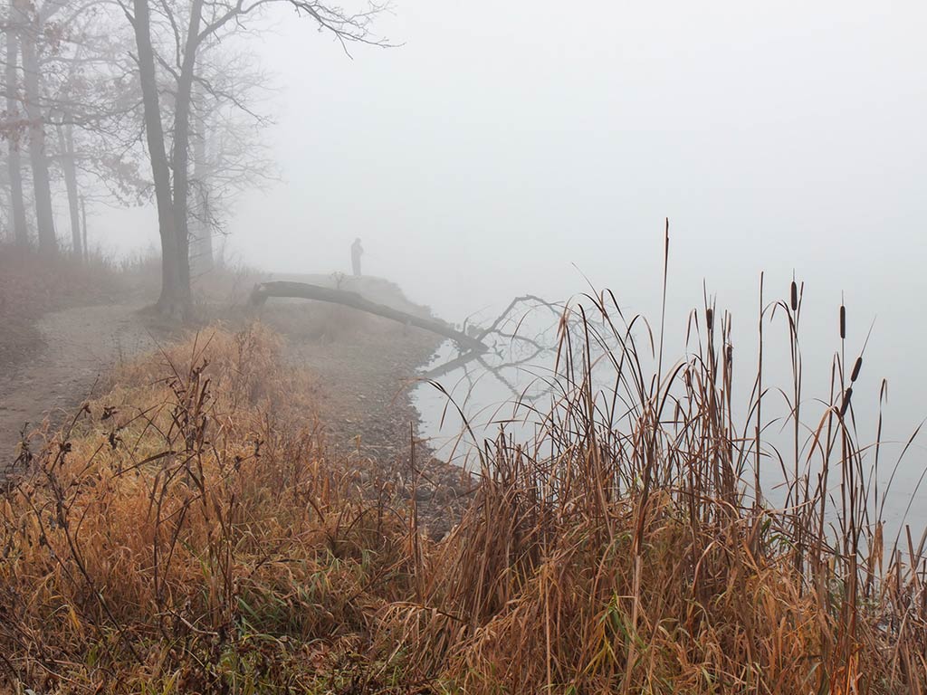 A foggy lakeshore with dry grasses in front, bare trees along the edge, and a person barely visible in the mist.